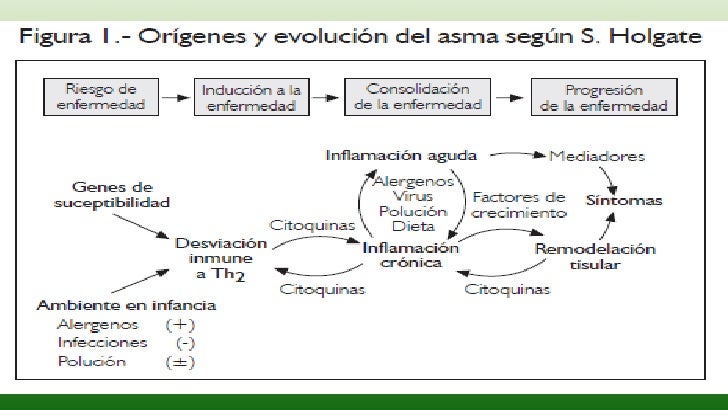 fisiopatologia da asma